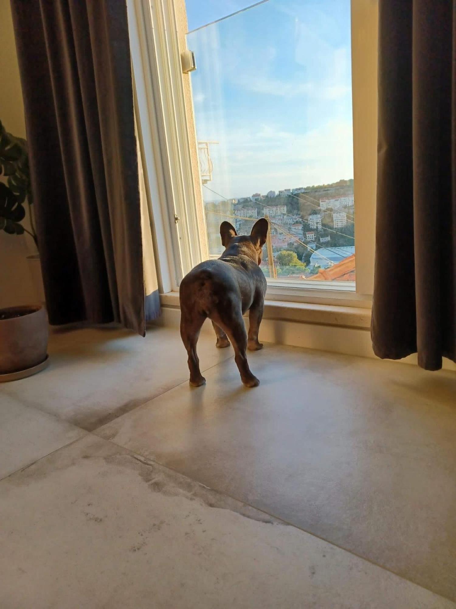 Apartment Eni Dubrovnik Ngoại thất bức ảnh